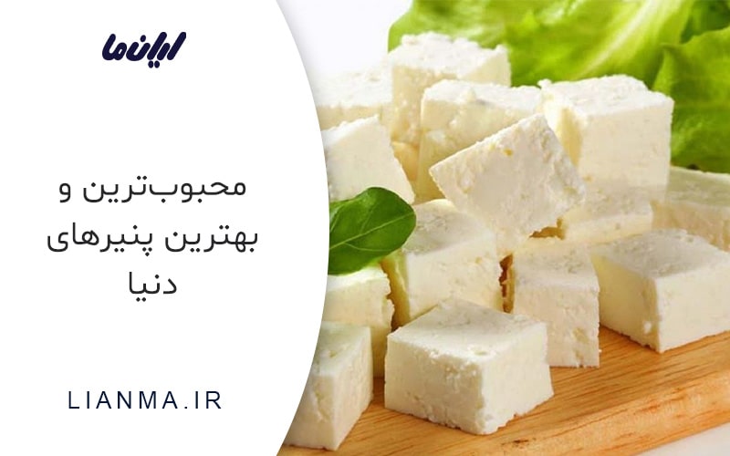 محبوب‌ترین و بهترین پنیرهای دنیا