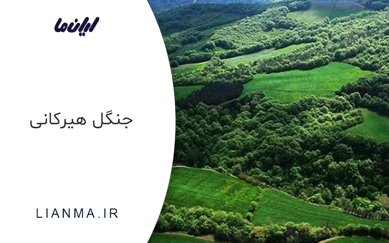 جنگل های هیرکانی