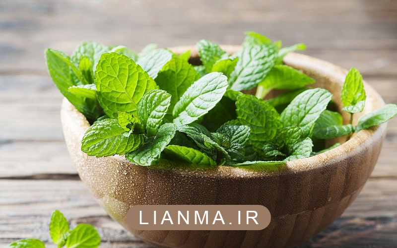 خواص نعناع برای بدن