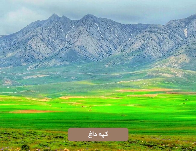 کپه داغ