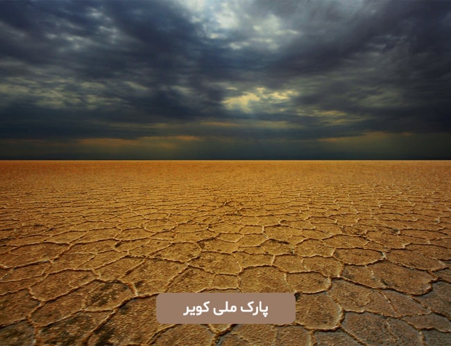 پارک ملی کویر