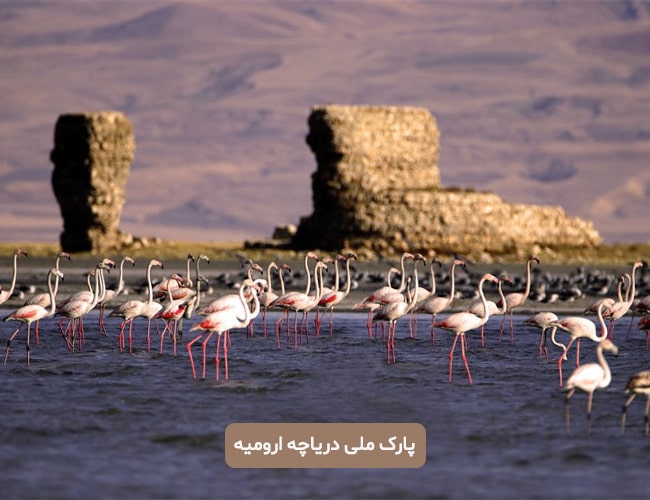 پارک ملی دریاچه ارومیه