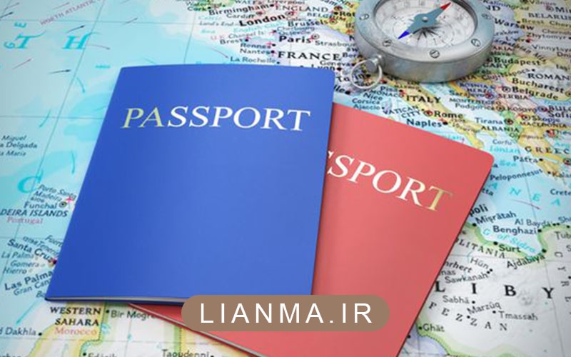 انواع روش های مهاجرت کاری