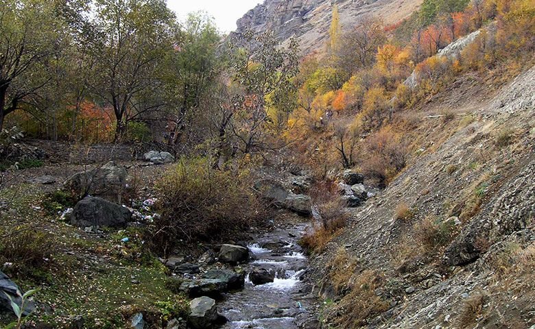 روستای ایگل