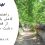 راهنمای کامل بازدید از قصر دشت شیراز