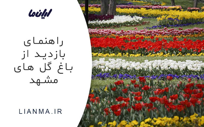 راهنمای بازدید از باغ گل های مشهد