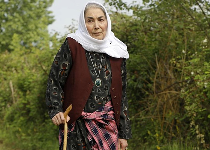 بیوگرافی پروانه معصومی