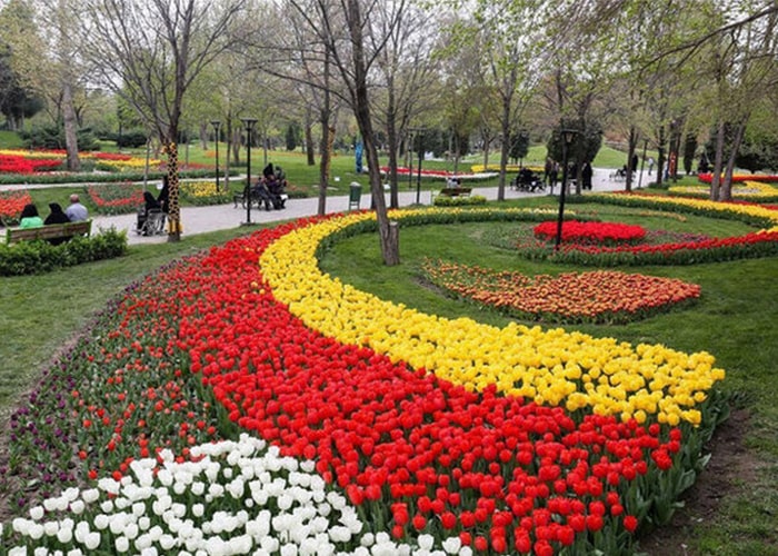 راهنمای بازدید از باغ گل های مشهد