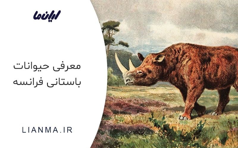 معرفی حیوانات باستانی فرانسه