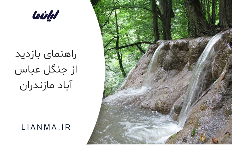 راهنمای بازدید از جنگل عباس آباد کلاردشت مازندران