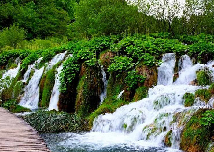 بهشت گمشده شیراز