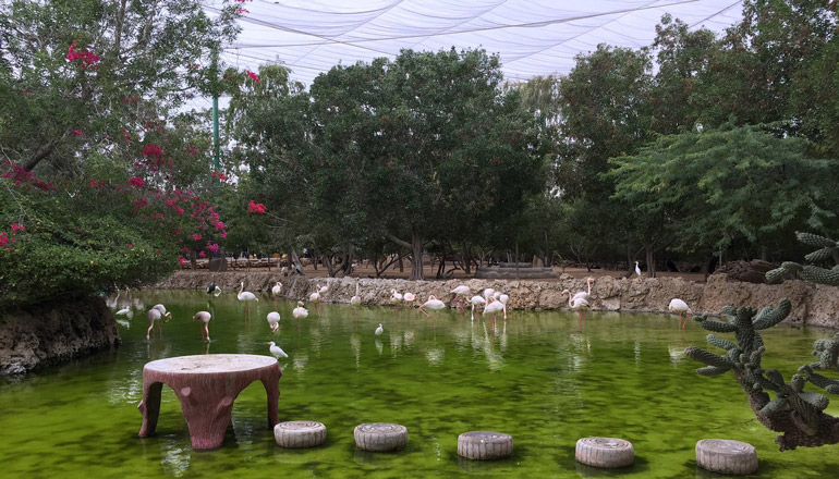 باغ پرندگان