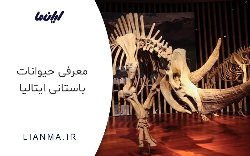 معرفی حیوانات باستانی ایتالیا