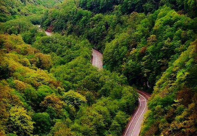 جنگل دوهزار تنکابن