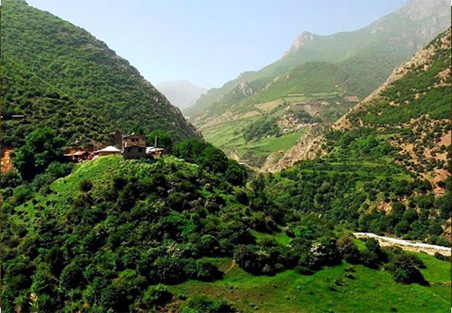 جنگل دوهزار 