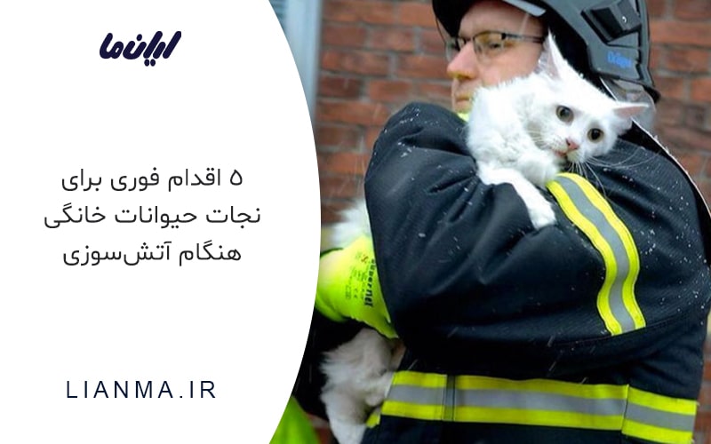 5 افدام فوری برای نجات حیوونات خانگی هنگام آتش‌سوزی