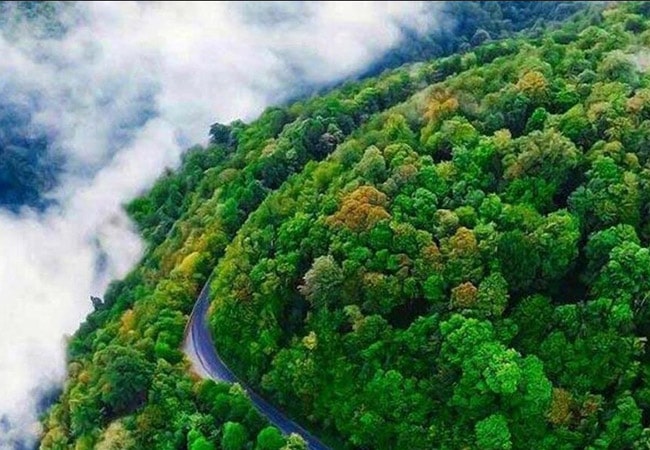 جنگل‌های ارسباران تبریز