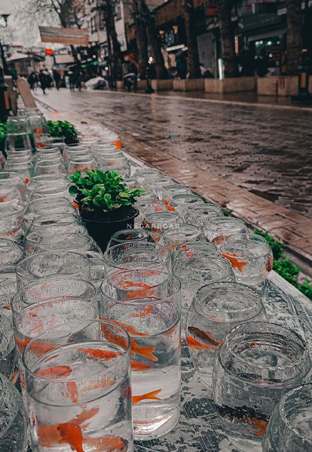 نوروز در ایران