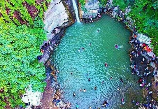 جنگل شیرآباد رامیان