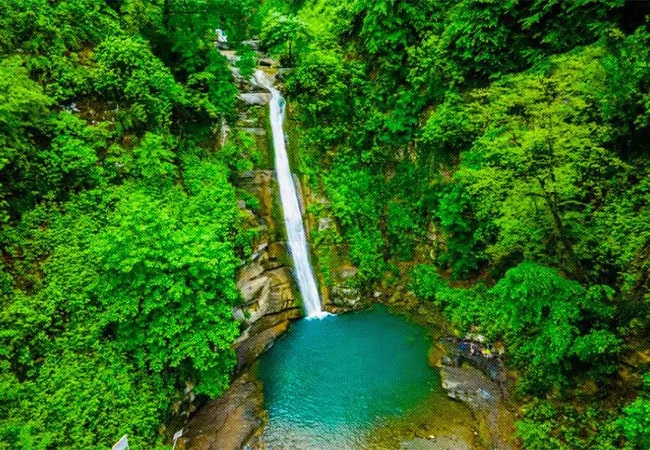 جنگل شیرآباد رامیان