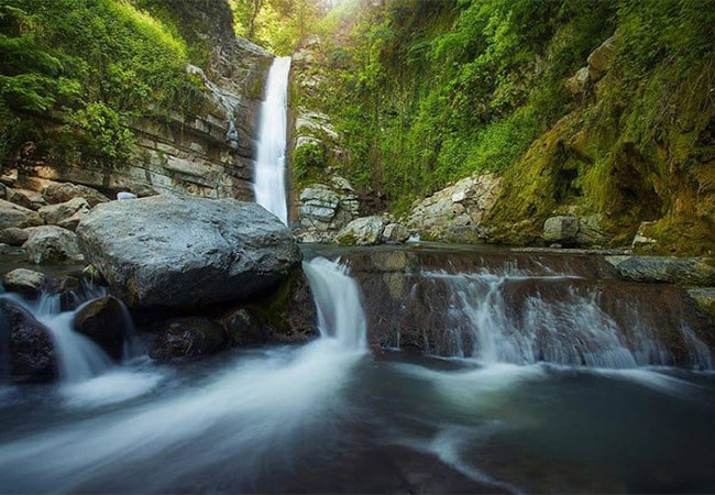 جنگل شیرآباد رامیان