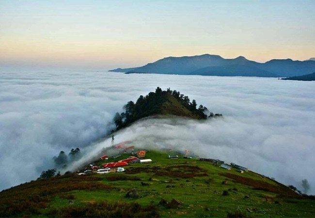 جنگل ابر شاهرود