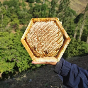 عسل طبیعی کردستان