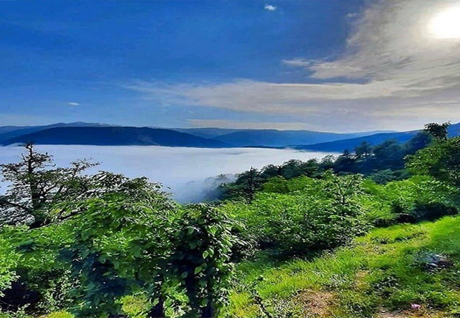  دالخانی رامسر