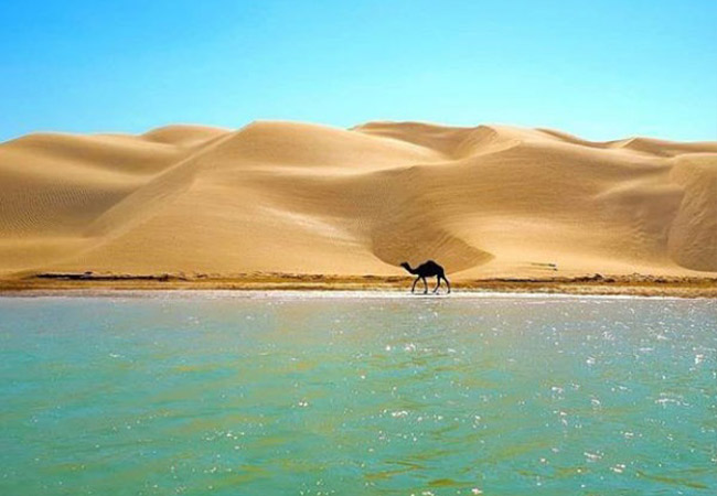 کویر و ساحل درک