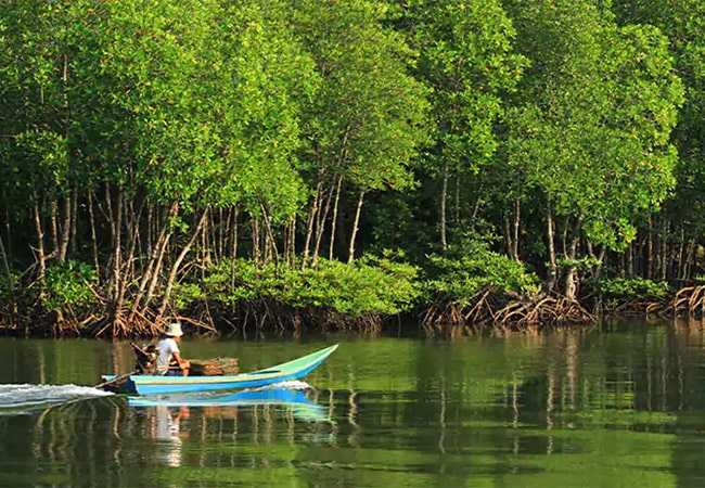 جنگل حرا چابهار