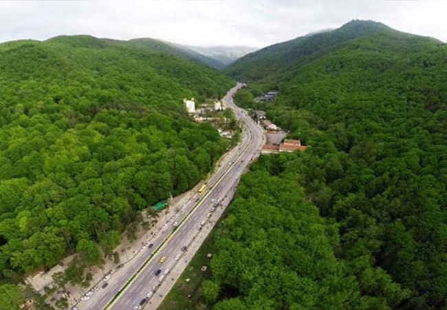 جنگل ناهارخوران گرگان 1