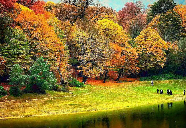 جنگل ناهارخوران گرگان 2