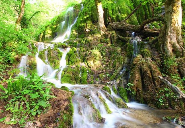 راش سوادکوه